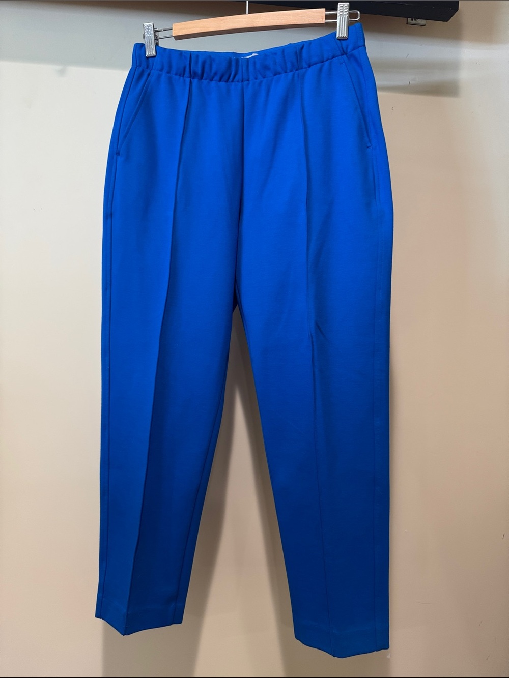 Everlane Electric Blue Cropped Pull-On Trousers